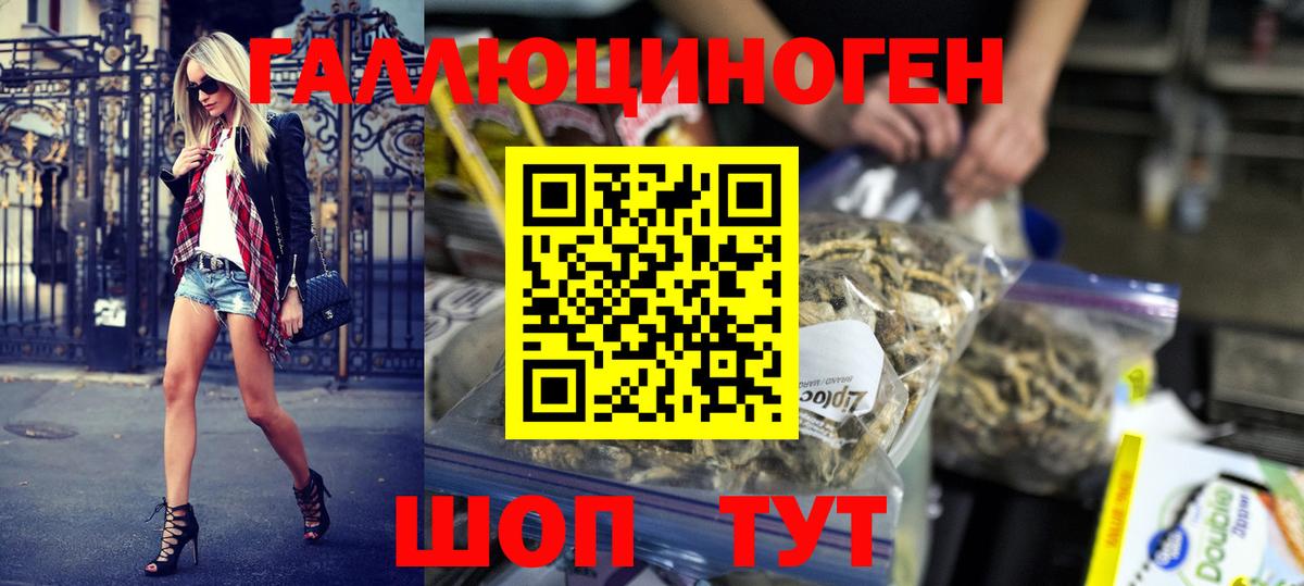 Псилоцибиновые грибы MAGIC MUSHROOMS  Вход с VPN  продажа наркотиков  Комсомольск-на-Амуре  Галлюциногенные грибы Psilocybine cubensis 